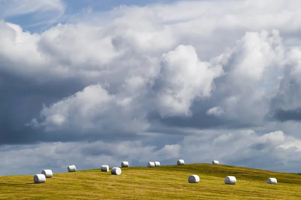 stock image White plastic silage wrapped bales with hay on green grass hill 