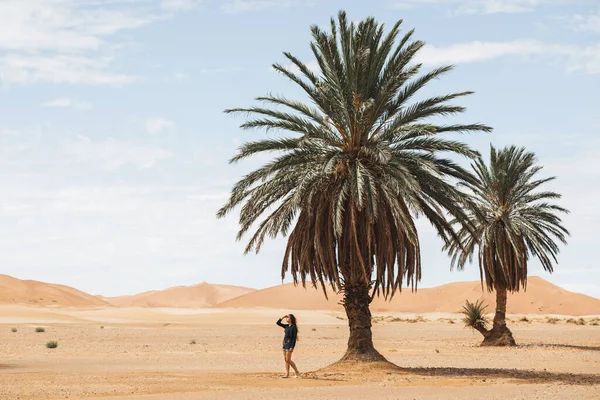 Kum Tepeleri Yalnız Bir Palmiyeyle Çölde Yürüyen Güzel Bir Kadın — Stok fotoğraf