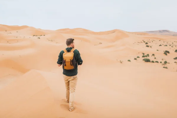 Путешественник Марокко Пустыня Сахара Исследуйте Африканскую Природу Песчаные Дюны Вокруг — стоковое фото