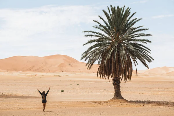 Mulher Caminhando Belo Deserto Com Dunas Areia Uma Palma Solitária — Fotografia de Stock