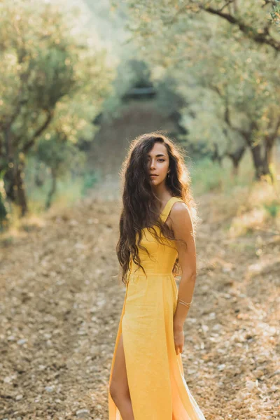 Woman in yellow summer linen dress in olive tree garden. Portrait of beautiful curly brunette girl in good sunny weather. Natural beauty.