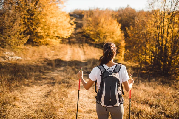 Achteraanzicht Van Vrouw Met Rugzak Wandelstokken Nordic Walking Wandelen Herfst — Stockfoto