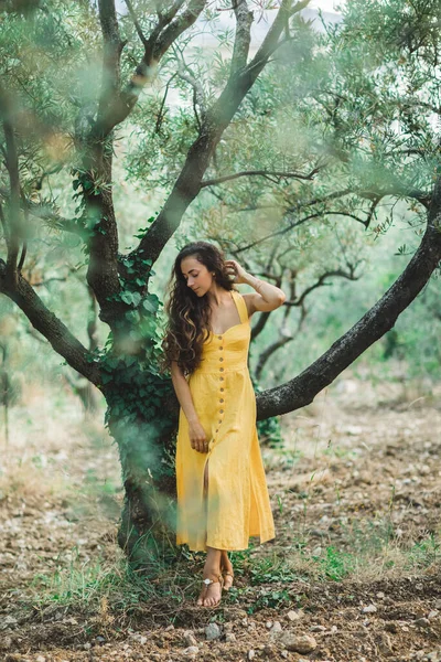 オリーブの木の庭で黄色の夏のリネンのドレスの女性 自然の中で美しいです巻きブルネットの女の子の肖像 — ストック写真