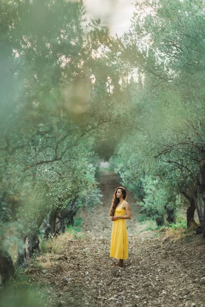 Mujer Vestido Lino Amarillo Verano Olivar Estilo Rústico Retrato Hermosa — Foto de Stock