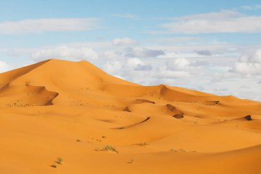 Sahra çöl manzarası, kum tepeleri ve gün batımında güzel bulutlar. Dubai 'ye git. Doğa boş arkaplan.