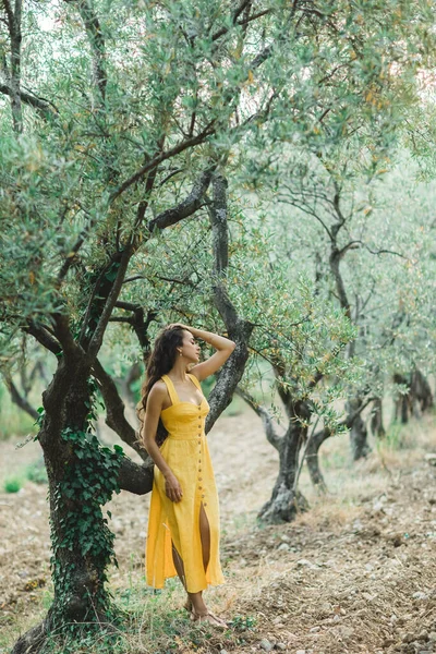 Woman Yellow Summer Linen Dress Olive Tree Garden Portrait Beautiful — Stock Photo, Image