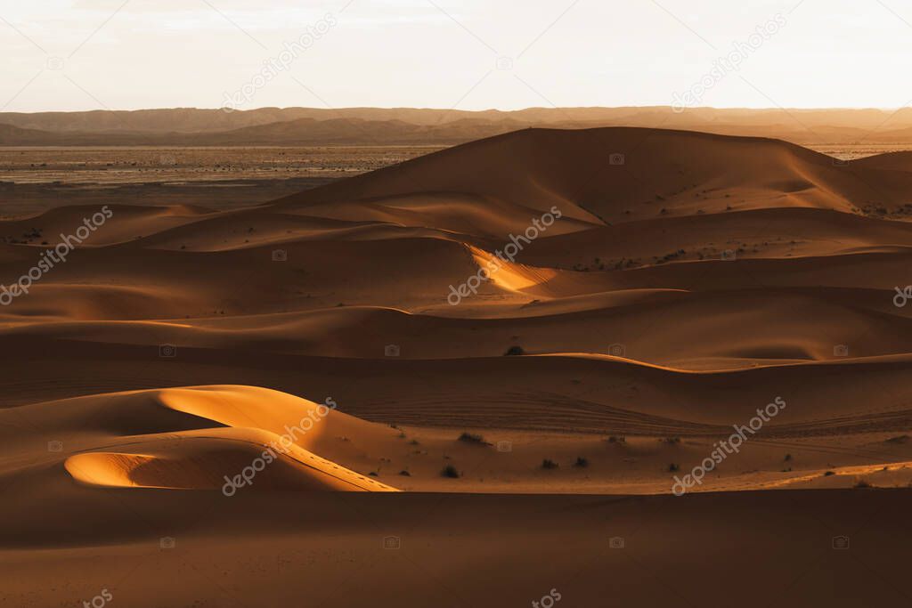 Sahara desert landscape with sand dunes in beautiful warm sunset light. Travel in Dubai, UAE.