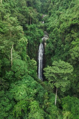 Orman yağmur ormanlarındaki büyük şelalenin insansız hava aracı görüntüsü. Vahşi, dokunulmamış doğa, yeşil arka plan. Bali, Endonezya