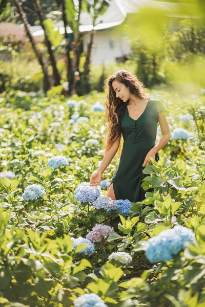 Молодая Красивая Женщина Зеленом Платье Наслаждается Цветущими Голубыми Гортензиями Цветы — стоковое фото