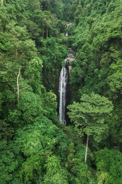 Orman yağmur ormanlarındaki büyük şelalenin insansız hava aracı görüntüsü. Vahşi, dokunulmamış doğa, yeşil arka plan. Bali, Endonezya