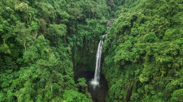 Aerial drone view of large hidden waterfall in jungle rainforest. Wild untouched nature, green background. Bali, Indonesia