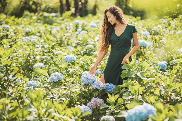 Молодая Красивая Женщина Зеленом Платье Наслаждается Цветущими Голубыми Гортензиями Цветы — стоковое фото
