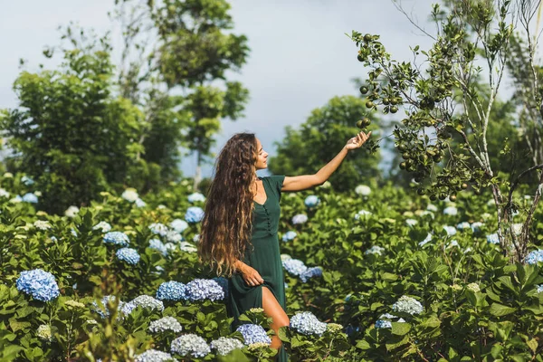 Donna Abito Verde Raccogliendo Arance Giardino Con Ortensie Fiore Concetto — Foto Stock