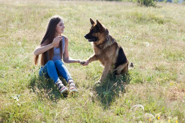 Donna gioca con cane pastore formazione bello — Foto Stock