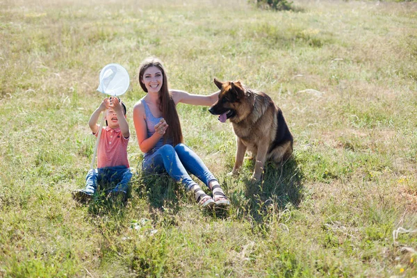 Anne ve oğlu köpek çoban köpeği eğitimi ile oynamak — Stok fotoğraf