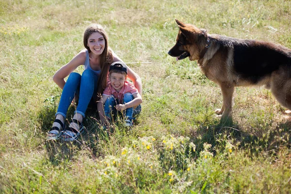 Mom and son playing with dog sheepdog training — Stock Photo, Image