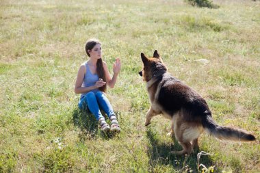 kadın ile köpek çoban köpeği eğitim güzel oynuyor