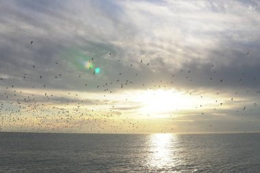 gökyüzü manzara denize gün batımında