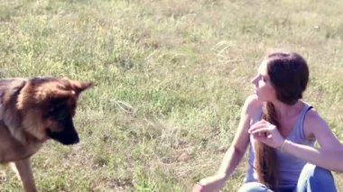 köpek Alman kurdu dişi okullar