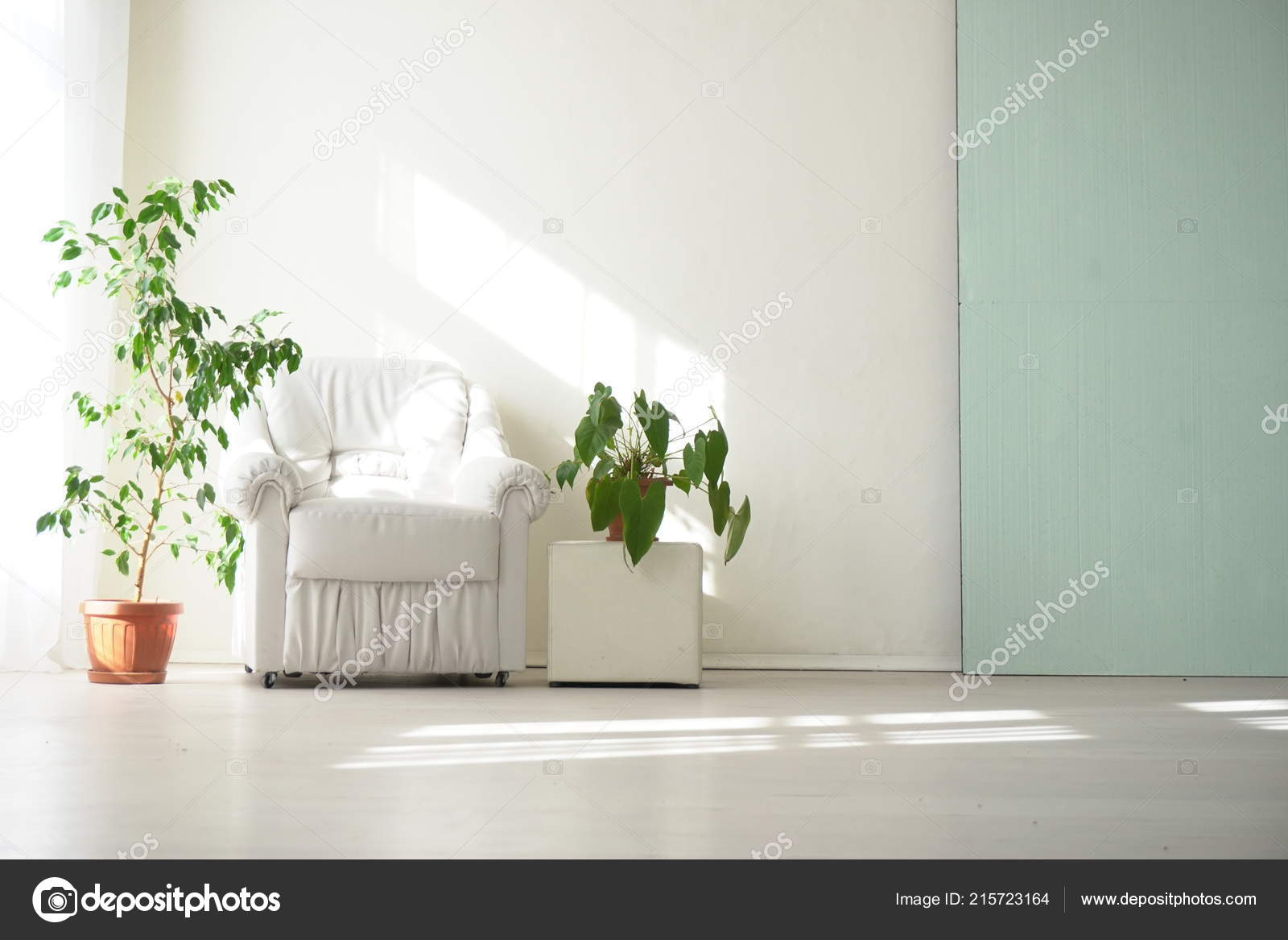 緑の植物で白い部屋のインテリア ストック写真 C Dsimakov Foto Mail Ru