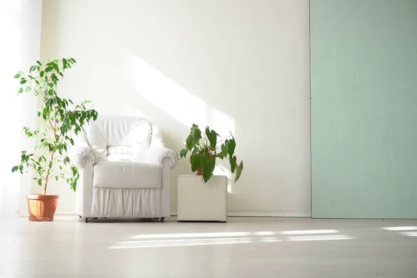 Het interieur van de witte kamer met groene planten — Stockfoto