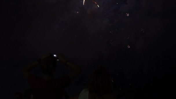 Pessoas felizes olhar fogos de artifício festivos — Vídeo de Stock