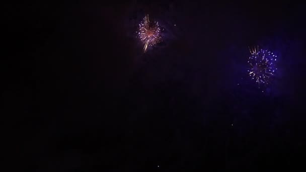 Pessoas felizes olhar fogos de artifício festivos — Vídeo de Stock
