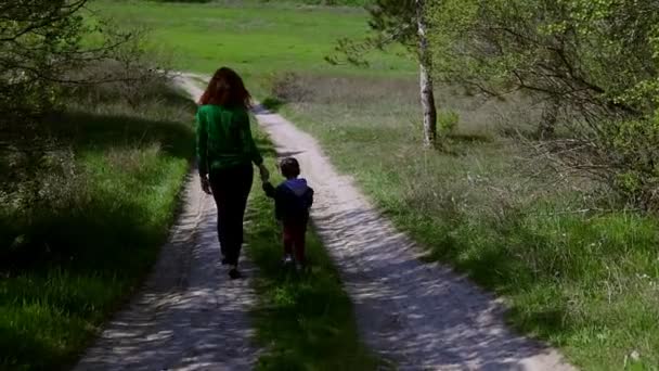母亲和年幼的儿子走在森林的道路上 — 图库视频影像