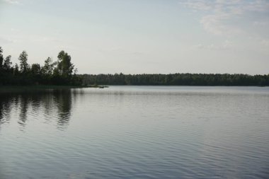 Lake forest yeşil manzara doğa Rusya'nın