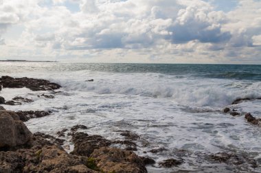 Taş plaj deniz sahil fırtına ve kuş