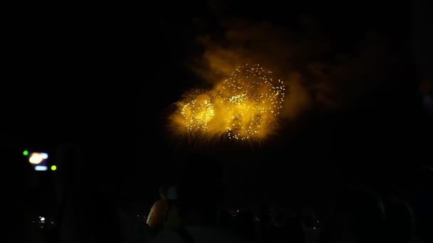 Um monte de pessoas assistindo fogos de artifício noite de férias — Vídeo de Stock