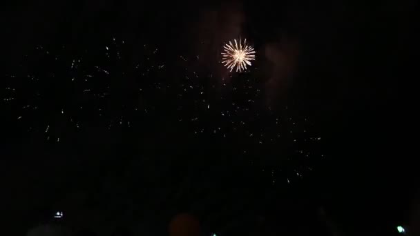 Mucha gente viendo fuegos artificiales noche de vacaciones — Vídeo de stock