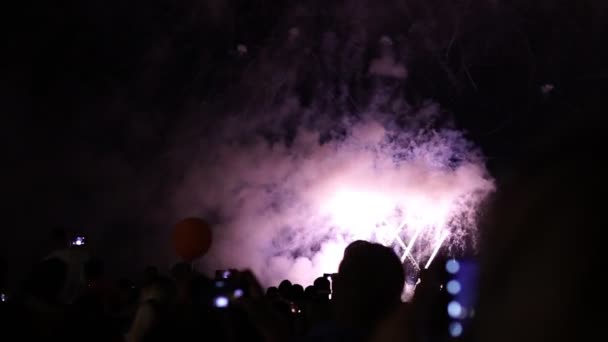 Un sacco di gente a guardare fuochi d'artificio notte in vacanza — Video Stock