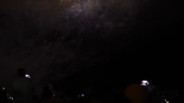 Mucha gente viendo fuegos artificiales noche de vacaciones — Vídeos de Stock