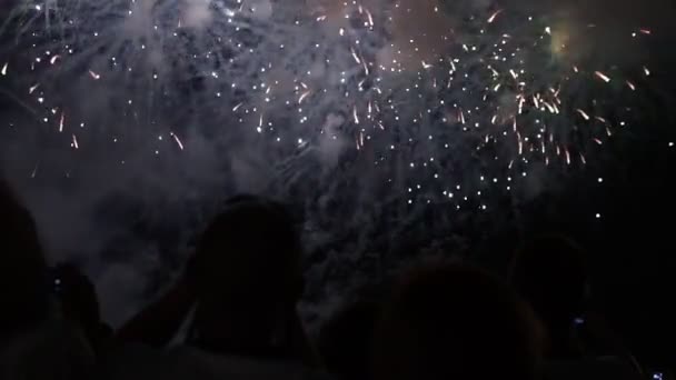 Mucha gente viendo fuegos artificiales noche de vacaciones — Vídeos de Stock