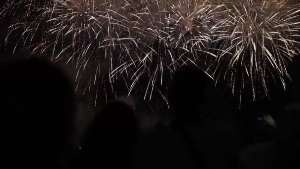 Mucha gente viendo fuegos artificiales noche de vacaciones — Vídeo de stock