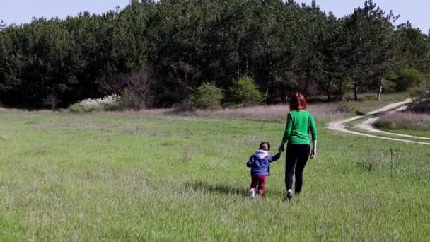 Mother and little boy go on the field — Stock Video