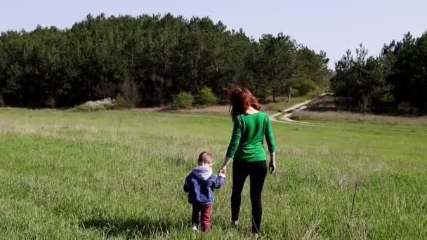 Madre y niño pequeño ir en el campo — Vídeos de Stock