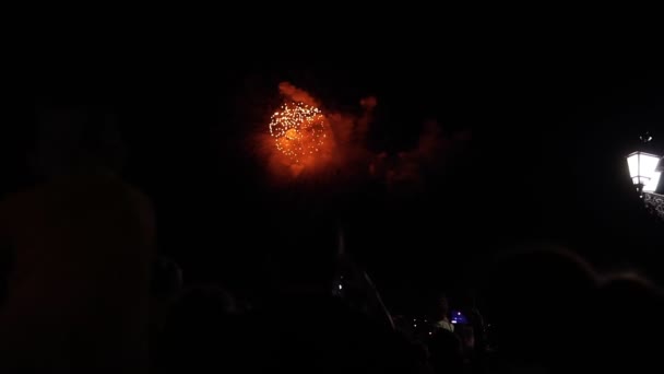 Un sacco di gente a guardare fuochi d'artificio notte in vacanza — Video Stock
