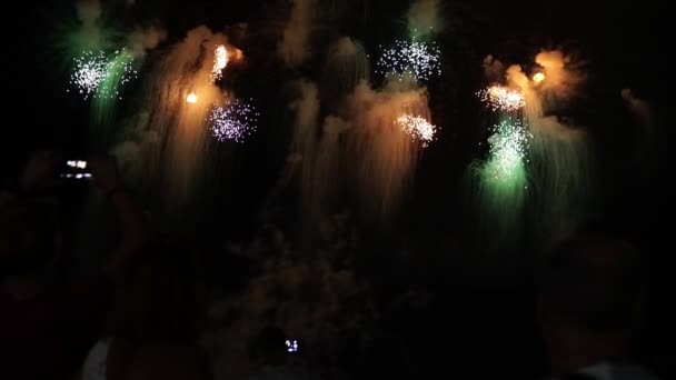 Banyak orang menonton kembang api malam pada hari libur — Stok Video