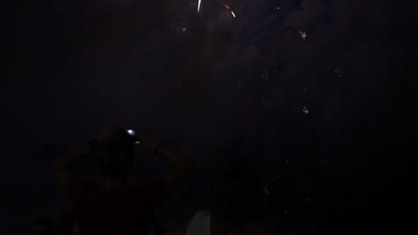 En massa människor titta Fireworks fyrverkerier night på semester — Stockvideo