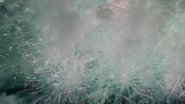 Hodně lidí dívat večer ohňostrojem ohňostroj na dovolené — Stock video