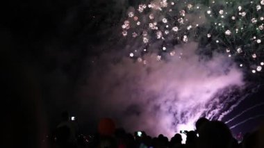 mutlu insanlar Festival Fireworks bak