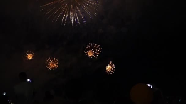 Ευτυχισμένοι άνθρωποι μοιάζουν γιορτινά πυροτεχνήματα — Αρχείο Βίντεο