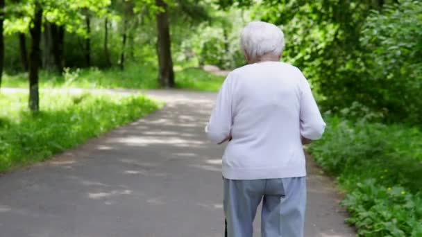おばあちゃんは、ノルディックウォー キング用のスティックと公園を散歩します。 — ストック動画