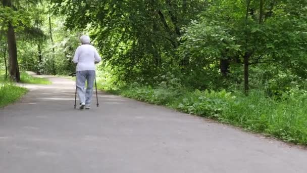 Viejo abuelita va con palos para caminar en el camino — Vídeo de stock