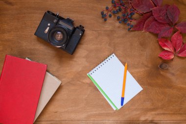 sarı sonbahar yaprakları eski fotoğraf makinesi arka plan x