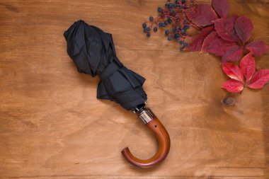 sarı sonbahar yaprakları ve siyah bir şemsiye yağmur karşı
