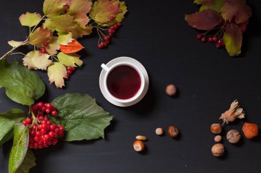 sarı ve kırmızı sonbahar kahve Kupası fındık bir siyah arka plan üzerine bırakır.