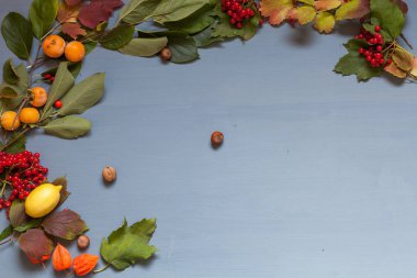 Meyve fındık gri bir arka plan üzerinde kırmızı ve sarı sonbahar yaprakları